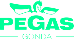 Logo PEGAS-GONDA s.r.o.
