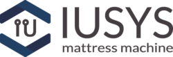 Logo IUSYS