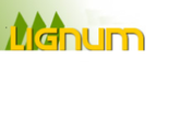 Logo P.P.H.U. LIGNUM Przemysław Kretowicz