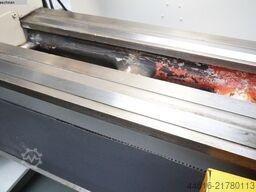 WEISSER-HEILBRONN JUNIOR