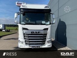 DAF XF 480 FAN Multiwechsler 112-132 2x AHK