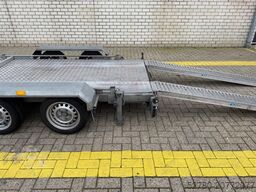 Platform Basket Spider 15.75 pro