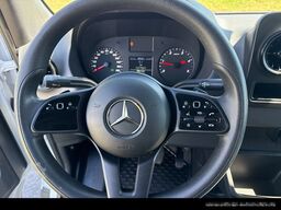 MERCEDES-BENZ Sprinter 319 4x4/SCHWINGSITZ/KAMERA/AHK3,50TO