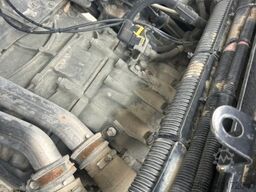 DAF CF 480 FAG KIPPER 8X4 MX-13 355H3