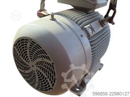 Silnik elektryczny Siemens 1LE16032AA434AB4-Z 30kW 200L IE3 2955rpm 400 690V IP55 B3