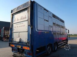 CUPPERS Cuppers veebak - Cuppers box for sows and pigs