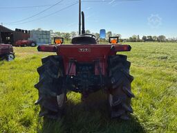 Yanmar F20D