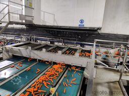 CARROT LINE GRADER SYSTEM