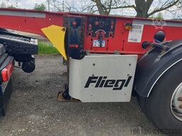 FLIEGL SDS 380 Chemie 20ft 725mm Überhang