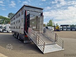 Pezzaioli NEW - 3 stock livestock - Water & Ventilation -...