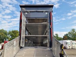 Pezzaioli NEW - 3 stock livestock - Water & Ventilation -...