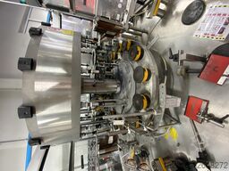 Cavagnino e Gatti Etikettierer für Selbstklebeetiketten