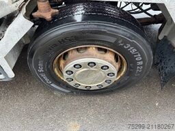 Scania R560 CB 8x4 BDF/HB / Swiss-Vehicle