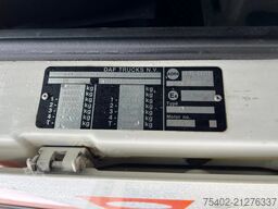 DAF XF 106.460 SSC FTG / 6x2/4 / ADR
