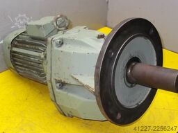 Starlett Starlett Starlett