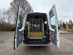 MERCEDES-BENZ Sprinter 313 BlueTEC 9Sitze+Rollstuhllift Klima