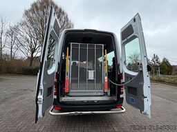 MERCEDES-BENZ Sprinter 313Cdi Flex-i-Trans 9Sitze + Lift Klima