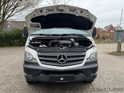 MERCEDES-BENZ Sprinter 313 BlueTEC 9Sitze+Rollstuhllift Klima