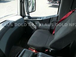 RENAULT C 480 Zweiseitenkipper Meiller Kamera Euro 6