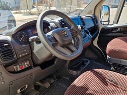 FIAT 1x Ducato 1x Opel Movano 18 SS in Stock