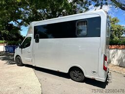 Renault Master 1-2 Pferde Hengsttrennung