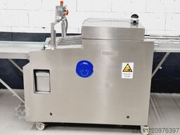 Riehle Riehle Belmar 2000