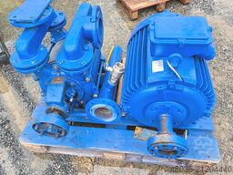 Siemen & Hinsch LPH Y 60520