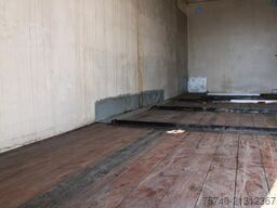 Pacton 2X AXLE + NICE TRAILER