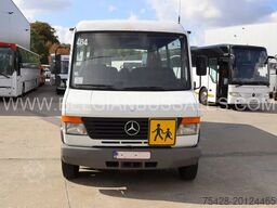 Mercedes Vario Joost