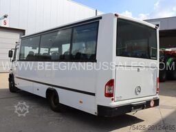 Mercedes Vario Joost