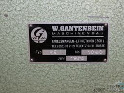 Gantenbein ROLONG RE