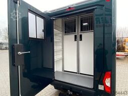 RENAULT Master STX 5 Sitzer Haras ex. Lang Automatik