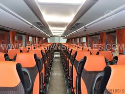 Iveco Evadys 13m / NEW / Rear door / 6x units / 3-poi...