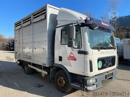 MAN TGL 12.220 4x2  Viehtransport Bj 10