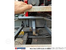 Abrollcontainer mit Kran Palfinger Epsilon E110L