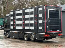 MAN TGX 26.500 4. Stock Menke-Janzen Viehtransporter