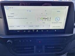 Ford Custom Kasten L1 Trend KLIMA KAMERA PDC TEMPOMAT