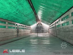 DAF XF480FAN*Baustoffkomplettzug*Lift/Lenk*Retarder