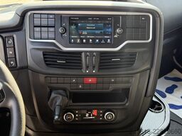 Iveco Sway 490