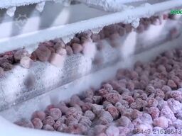 Air Products IQF Freezer Stikstofvriezer – Freshline