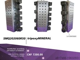 TriagInternational AG 