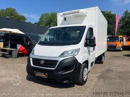 FIAT Ducato 2,3 HDI Thermoking V300 Tiefkühlung-30C
