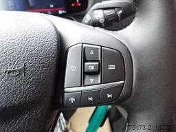 FORD Transit L3H3 Trend 121kw AT Stndhz 2xSTür 360Kam