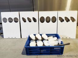 Alco/Shomaker Complete forming to freezing line