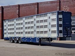 Pezzaioli + Daf XF - 3/4 deck livestock - 134.8m2 - Water...