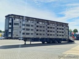 Pezzaioli + Daf XF - 3/4 deck livestock - 134.8m2 - Water...