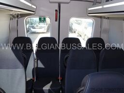 Iveco Daily Line New / 4 X UNITS / 65C18H8 4100L / Ai...