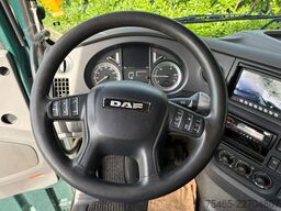 DAF XF 460 FTG Euro6 Intarder