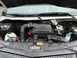 MERCEDES-BENZ Sprinter 313 BlueTEC 9 Sitze Rollstuhllift Klima