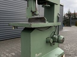 Primultini 